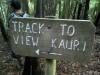 track-to-view-kauri