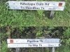 junction-of-pipeline-tk-and-nihotupu-dam-rd