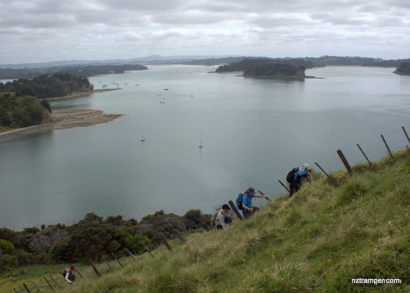 Mahurangi Regional Park West Walking Tracks