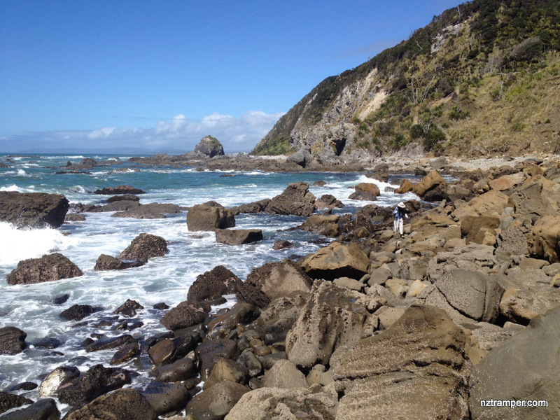 Mangawhai Cliffs Walkway