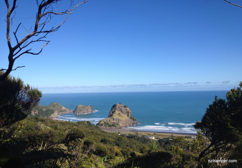 Maungaroa Ridge Track to Home Track loop