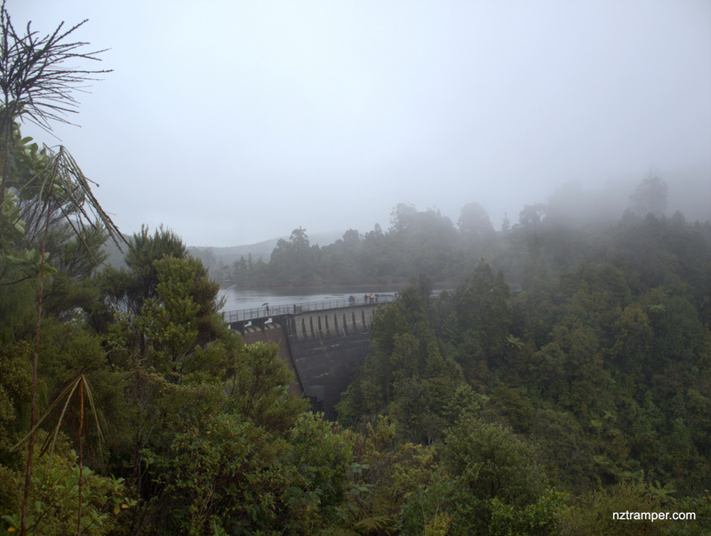 Peripatus, Anderson, Fence Line and Waitakere Tramline Tracks Loop
