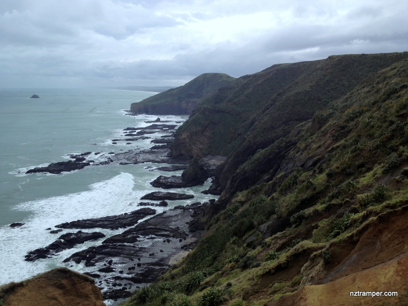 Te Henga Walkway, Piha, Waitakere Ranges, Auckland