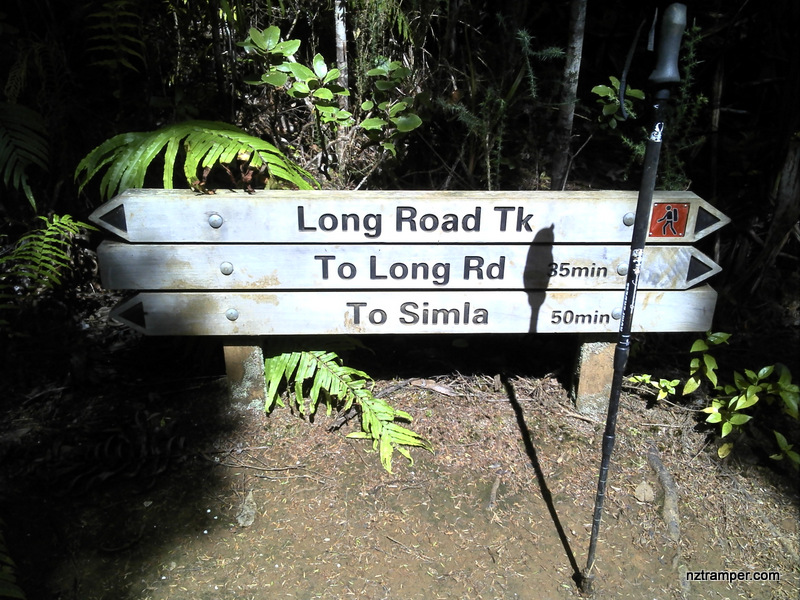 Lower Kauri to Sisam to Simla to Long Road to Upper Kauri Tracks loop