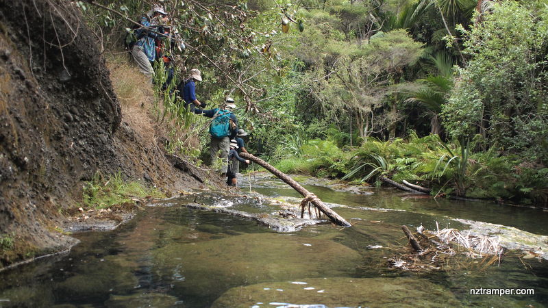 Lake Wainamu Track to Houghton Track to Wainamu Bush Track Loop