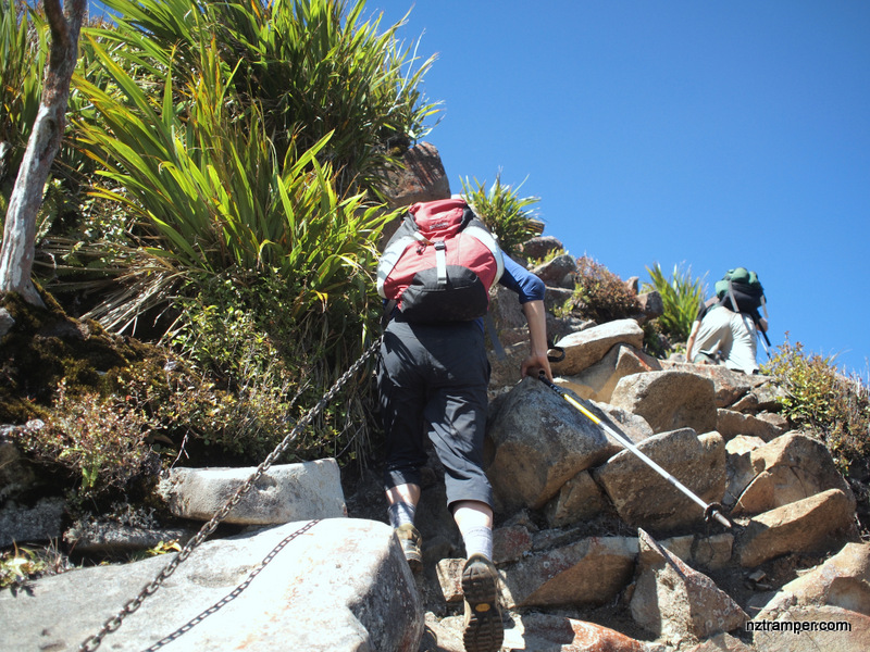 Mahaukura Track to Tirohanga Track to Ruapane Track to Link Track loop in Pirongia