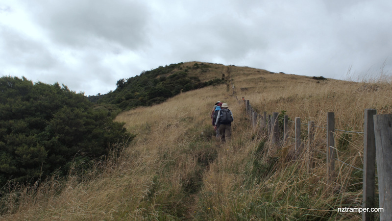 Karioi Track and Te Toto Gorge Track in Waikato