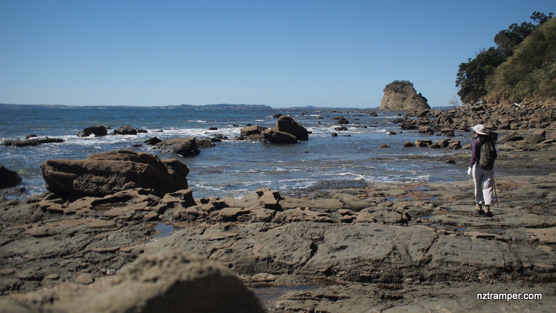 Wenderholm Regional Park Tracks Loop