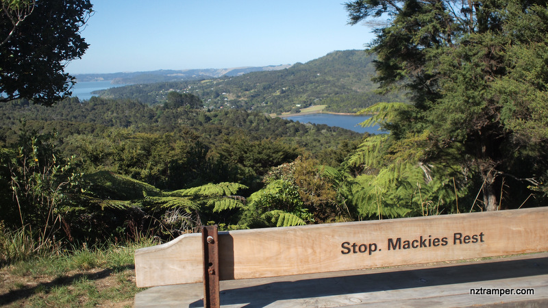 Beveridge Track to Exhibition Drive Track to Clark Bush Track return in Waitakere
