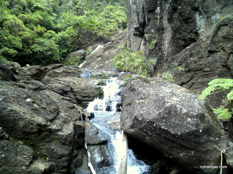 Pararaha Gorge Stream Track in Waitakere