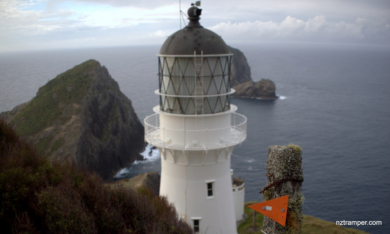 Cape Brett Track in Bay of Islands New Zealand Cape Brett Track in Bay of Islands New Zealand