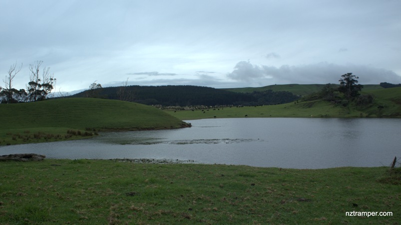lake Okaihau Tracks in Muriwai Beach Auckland