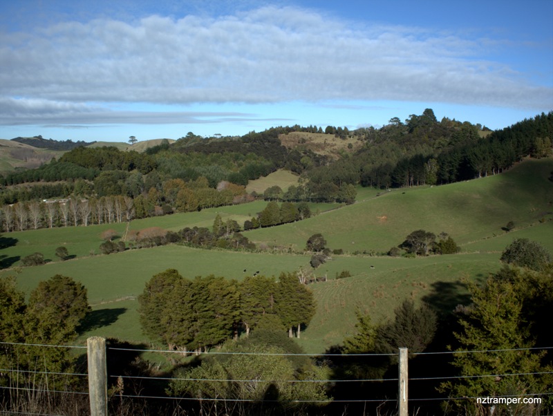 Mt Tamahunga Walkway Omaha Auckland Mt Tamahunga Walkway Omaha Auckland