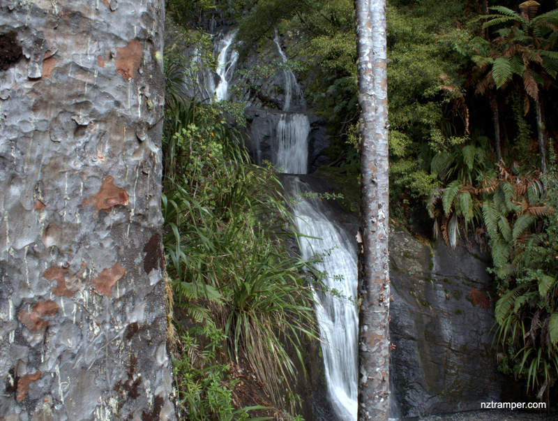 Fairy Falls Tracks Loop in Waitakere Ranges Auckland