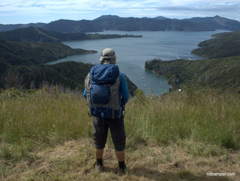 Queen Charlotte Sound Track Picton Queen Charlotte Sound Track Picton
