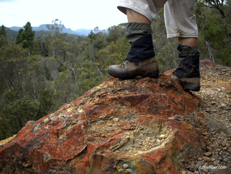 Karaka Tramping Track to Waiotahi Track in Thames Coromandel