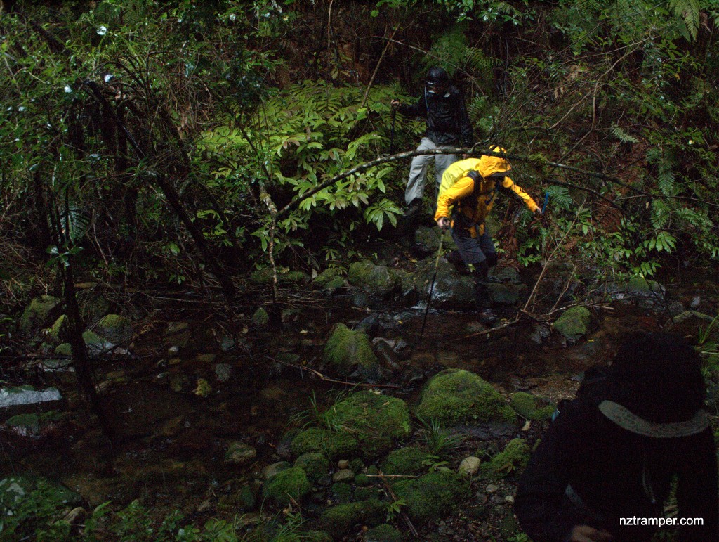 Onetai Valley Track and Rats Tooth in Coromandel Range