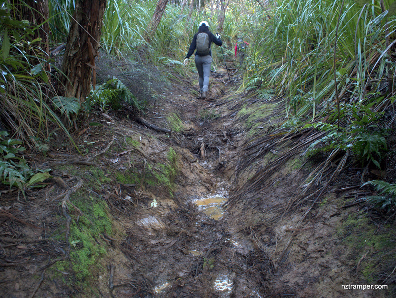 Gibbons Track to Walker Ridge Track to Odlin Timber Track to Zion Ridge Track to Karekare to Whatipu