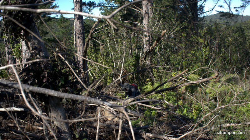 Wairoa Loop Tk to Mangtawhiri Challenge Tk to Wairoa Cosseys Tk Loop around Wairoa Reservoir in Hunua Ranges