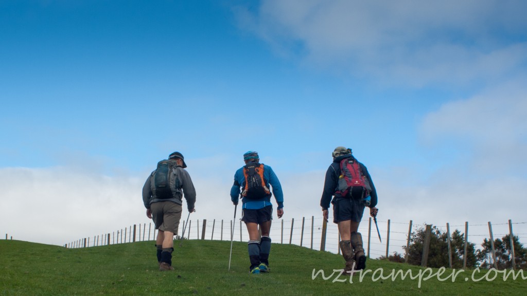 Off the beaten tracks in Hunua Ranges
