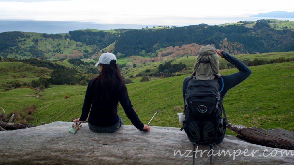 Te Araroa Trail in Omaha Forest
