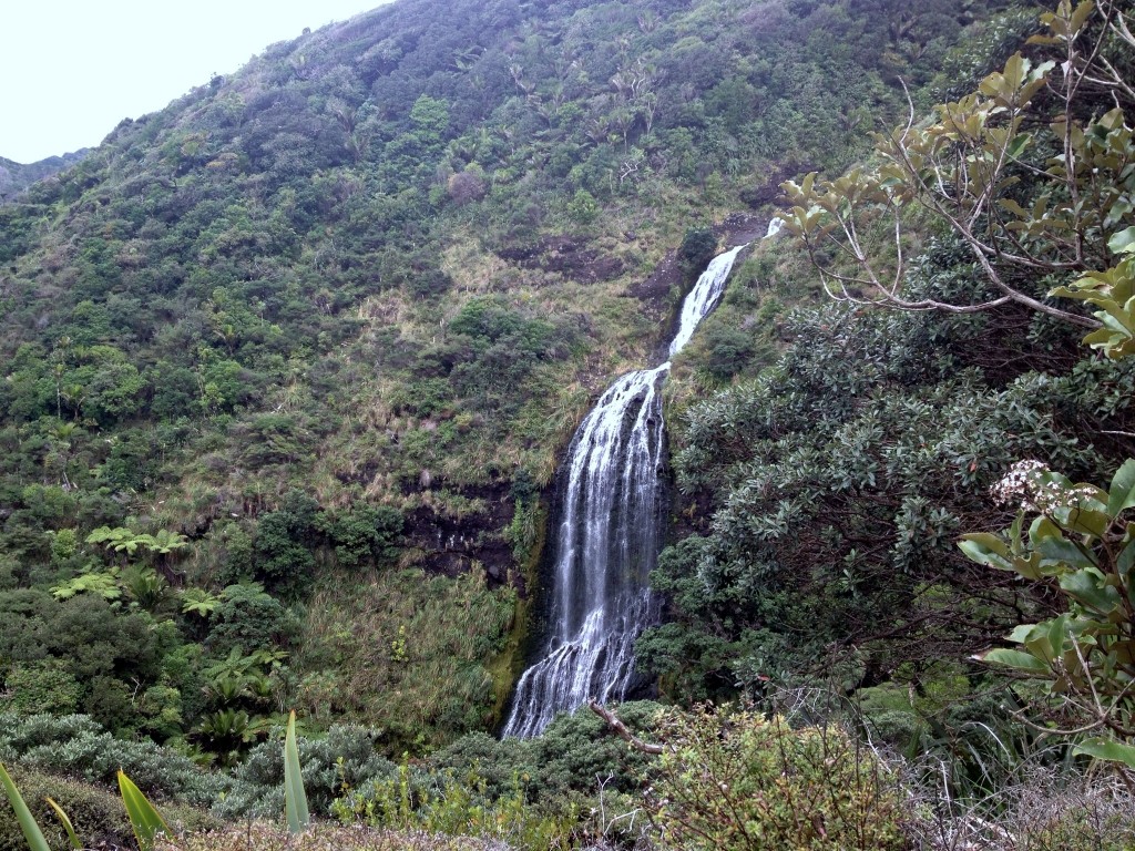 Zion Hill Track to Zion Ridge Track to Buck Taylor Track and Karekare Falls
