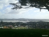 mangere-domain-summit-view