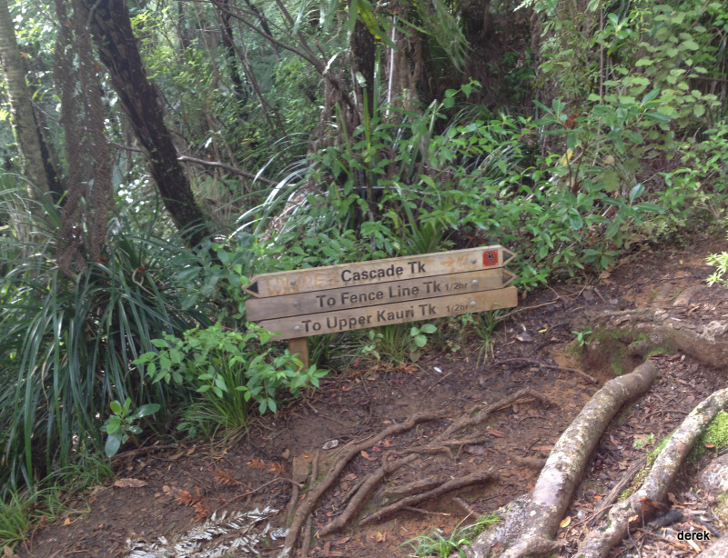 Fence Line Track to Robinson Ridge Track loop – Tramping & Trail ...
