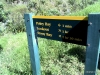 coromandel-walkway-poley-bay