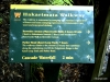 hakarimata-walkway
