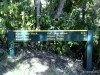kauri-loop-track