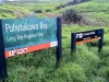 Pohutukawa Bay