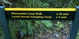 Whenuakite Loop Walk