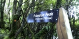 Pukeatua Peak