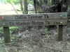 lone-kauri-rd-carpark-odlin-timber-tk