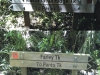 kakamatua-ridge-tk-to-farley-tk-junction