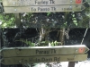 to-farley-track-junction