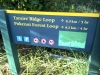 First junction of Taraire Ridge Loop and Pukenui Forest Loop