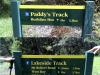 Junction of Junction of Lakeside Track and Paddys Track