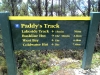 Paddys Track to Lakeside Track junction