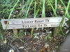 lower-kauri-track_1