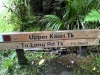 upper-kauri-track_4