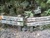 junction-of-kohukohunui-trig-track-and-kohukohunui-track