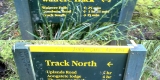 Junction of Wairere Track and North-South Track North
