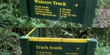 Junction of Wairere Track and North-South Track South