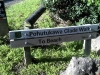 pohutukawa-glade-walk