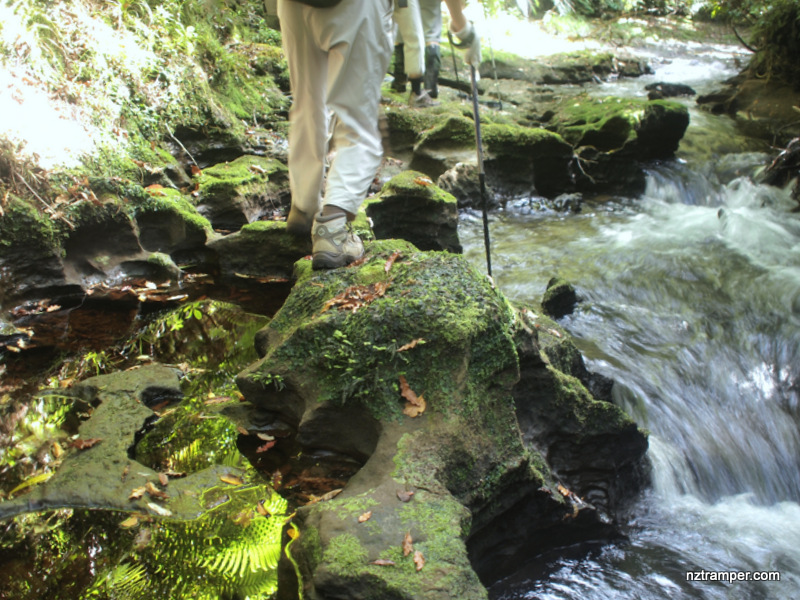 Tawarau Falls Loop Track in Waitomo – Tramping & Trail Running in New ...