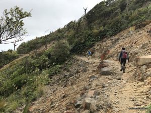 Pylon Peak Track to Kaimai Ridgeway to Waipapa Track to Waiorongomai Valley Loop