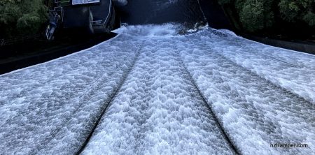 Trail running - Upper Nihotupu Reservoir loop Waitakere