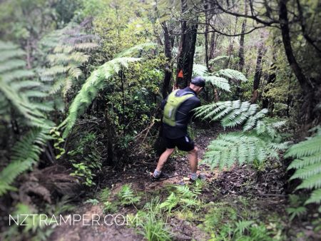 Trail Running – Upper Mangatawhiri Dam to Pukapuka Track Loop in Hunua